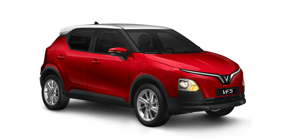 Brahminy White_ Crimson Red