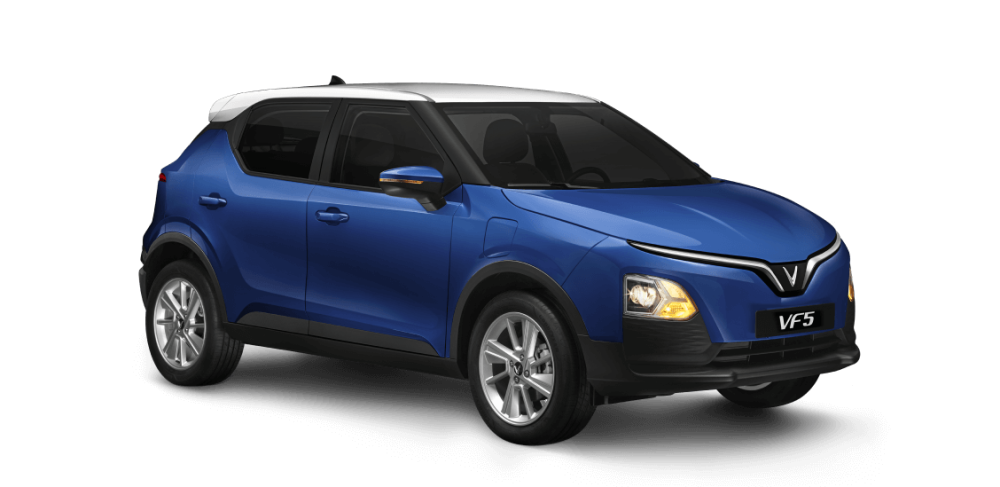 Brahminy White- VinFast Blue