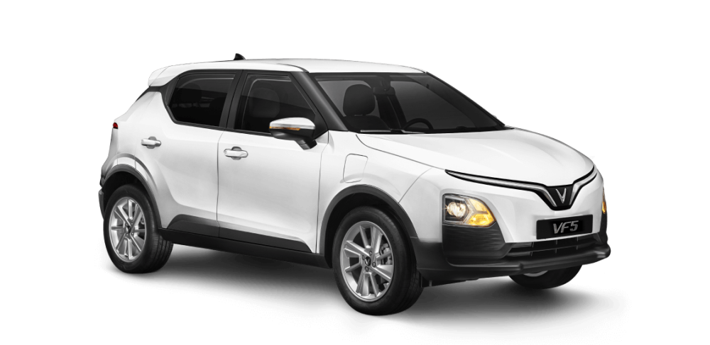 Brahminy White- Brahminy White